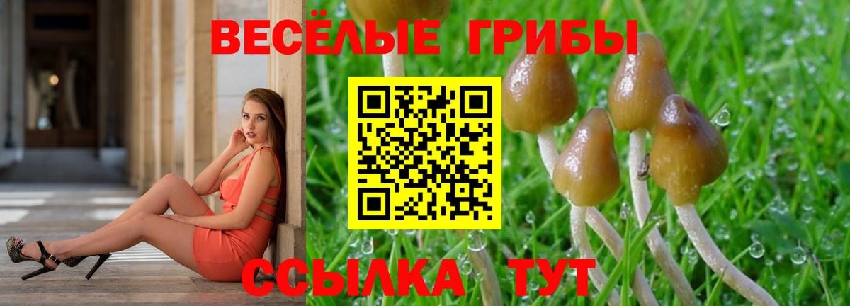 Псилоцибиновые грибы MAGIC MUSHROOMS Каменск-Шахтинский