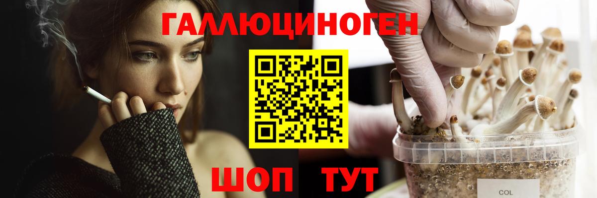 Галлюциногенные грибы ЛСД  Вход с VPN  Каменск-Шахтинский  Галлюциногенные грибы Cubensis 